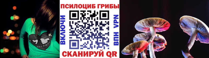 Псилоцибиновые грибы MAGIC MUSHROOMS  Грязовец 